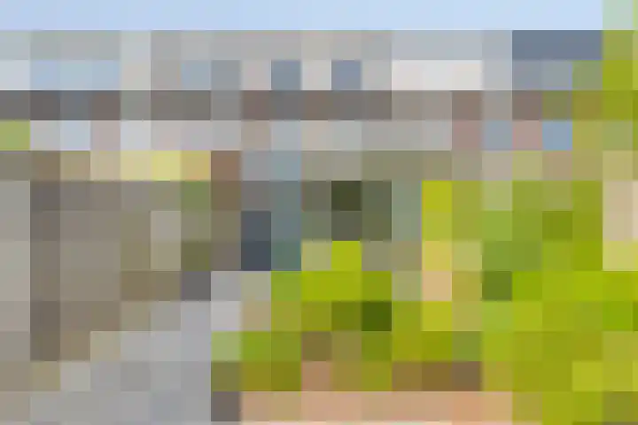 Magnolialaan 24 Lent thumbnail 33