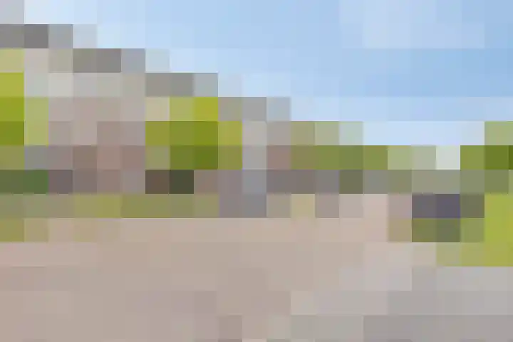 Magnolialaan 24 Lent thumbnail 34