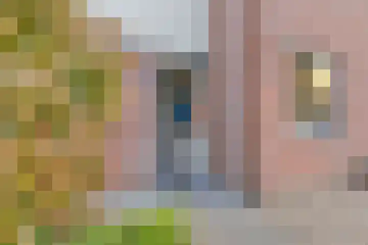 Magnolialaan 24 Lent thumbnail 5
