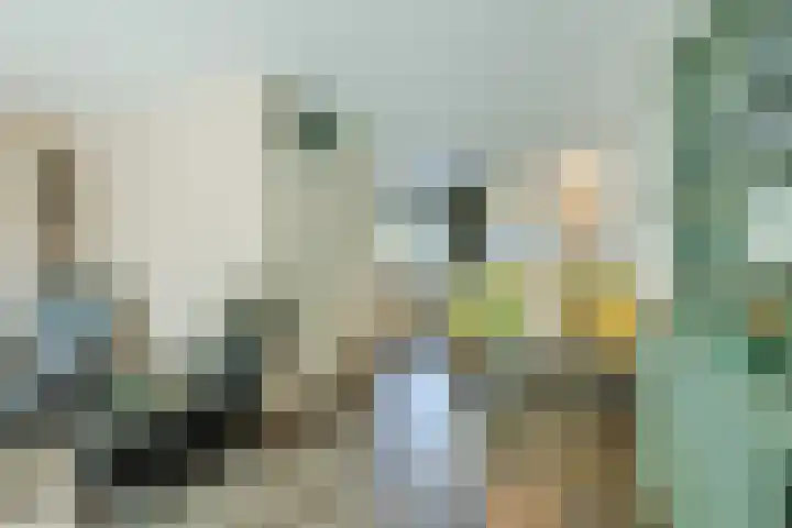 Magnolialaan 26 A Nieuwleusen thumbnail 11