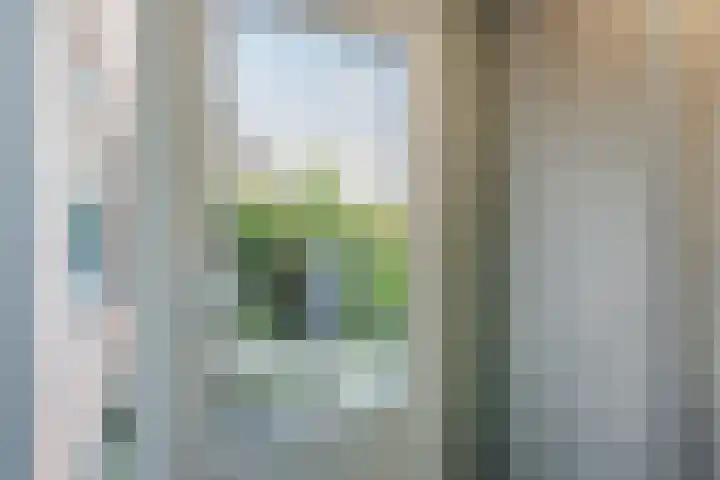 Magnolialaan 26 A Nieuwleusen thumbnail 20