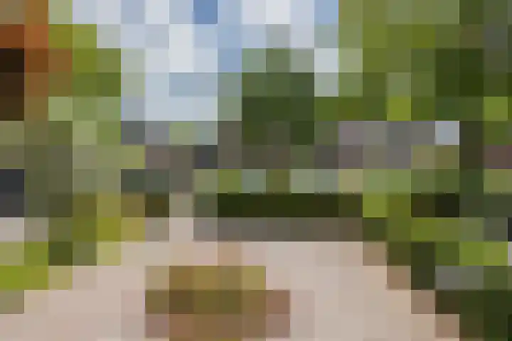 Magnolialaan 26 A Nieuwleusen thumbnail 4