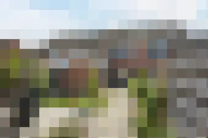 Magnolialaan 26 A Nieuwleusen thumbnail 41