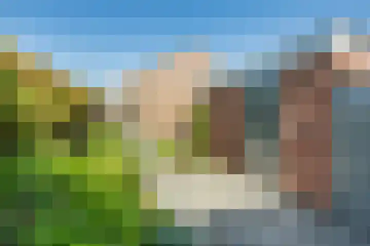 Magnolialaan 26 A Nieuwleusen thumbnail 42