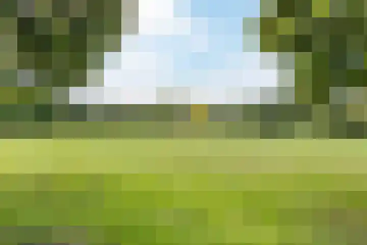 Magnolialaan 26 A Nieuwleusen thumbnail 50