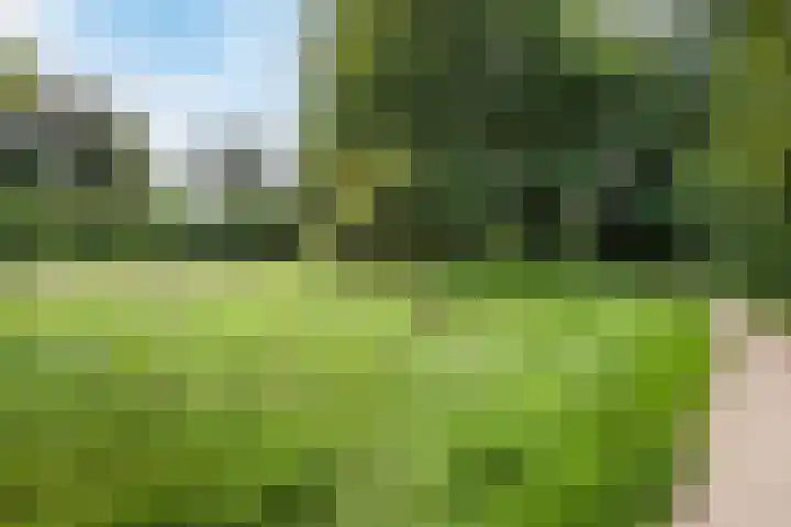 Magnolialaan 26 A Nieuwleusen thumbnail 52