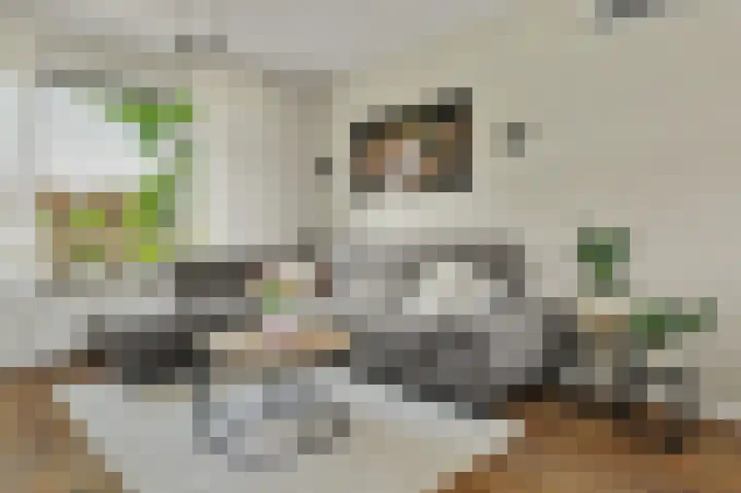 Magnolialaan 26 Yerseke thumbnail 11