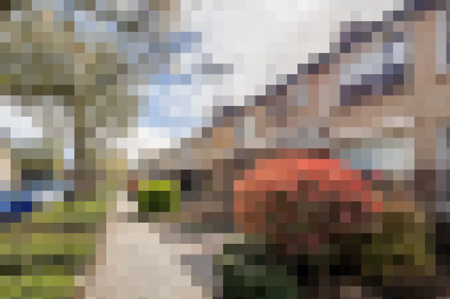 Magnolialaan 27 Almkerk thumbnail 4