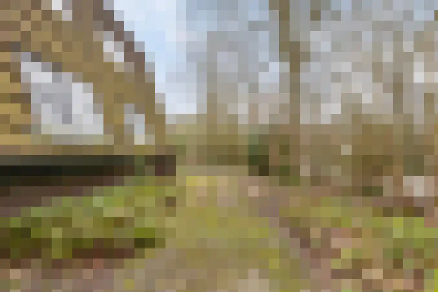 Magnolialaan 29 Oostkapelle thumbnail 10