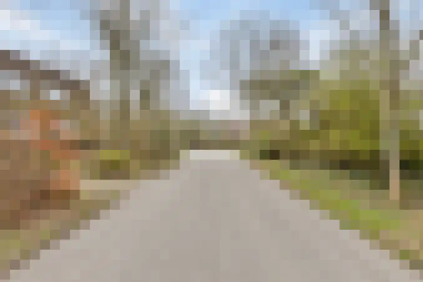 Magnolialaan 29 Oostkapelle thumbnail 56