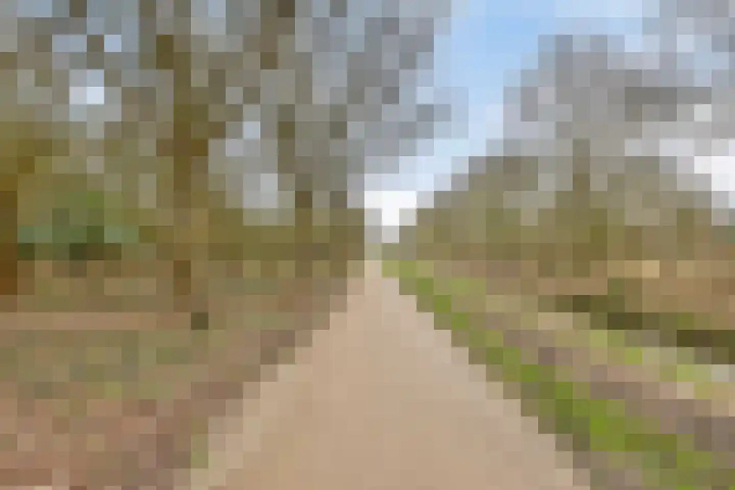 Magnolialaan 29 Oostkapelle thumbnail 61