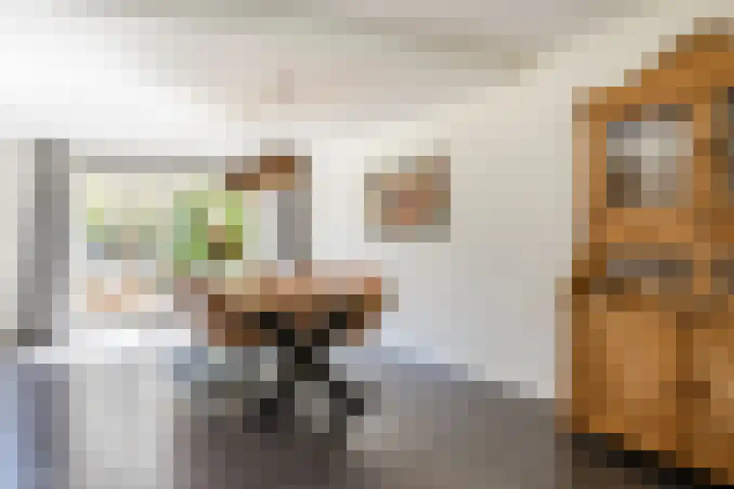 Magnolialaan 35 Nieuwleusen thumbnail 17