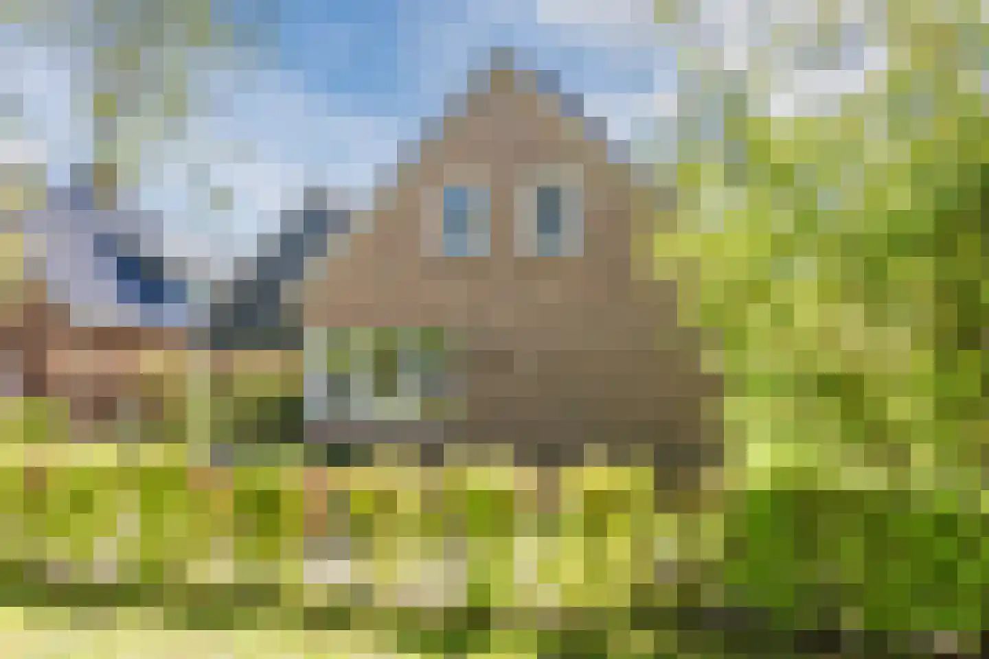 Magnolialaan 35 Nieuwleusen thumbnail 4