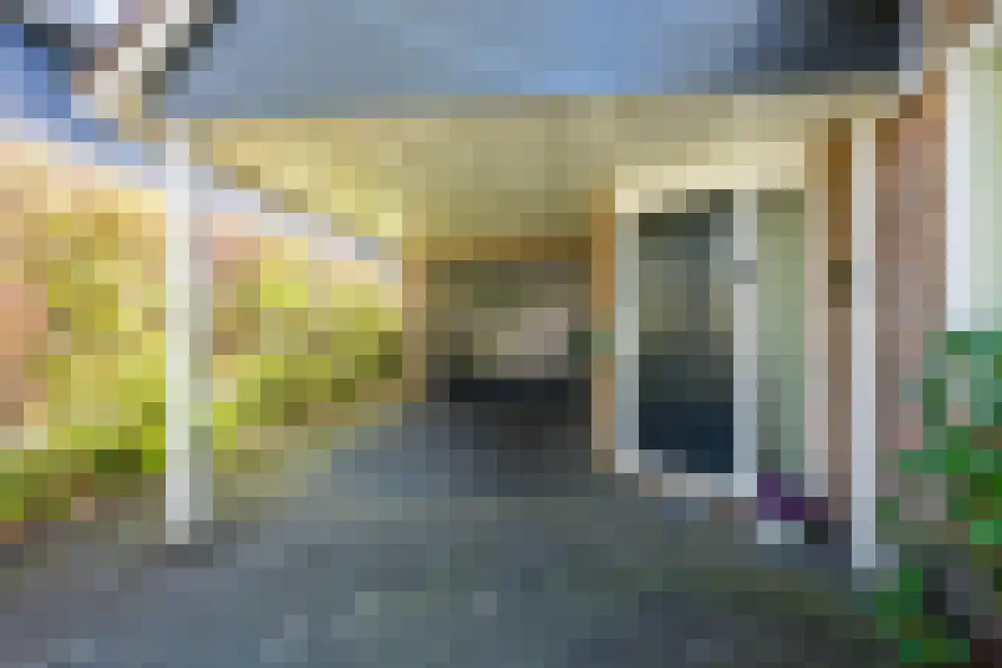 Magnolialaan 35 Nieuwleusen thumbnail 5