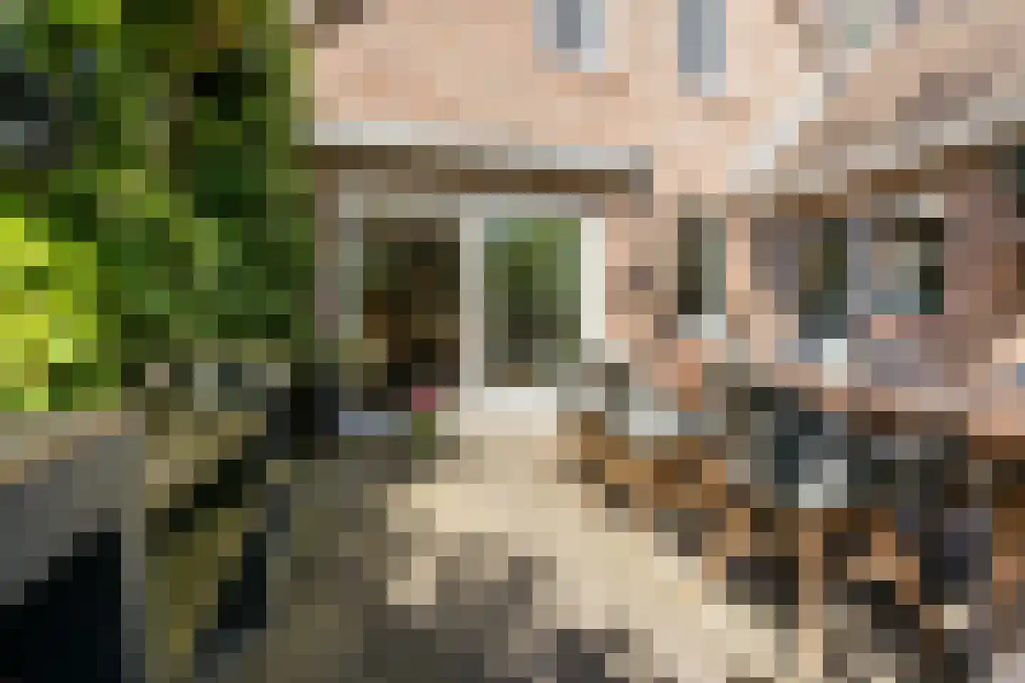 Magnolialaan 35 Nieuwleusen thumbnail 51
