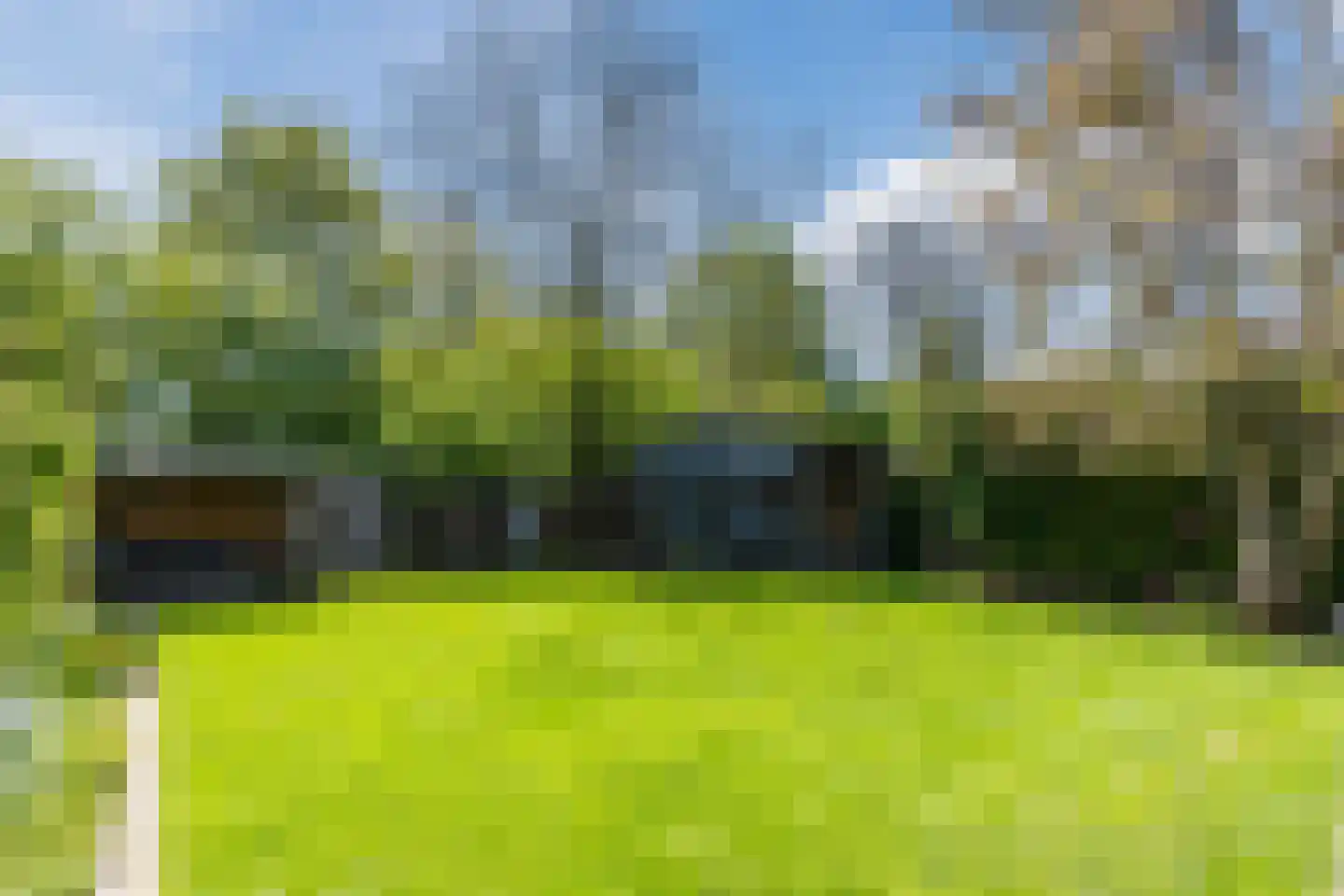 Magnolialaan 35 Nieuwleusen thumbnail 56