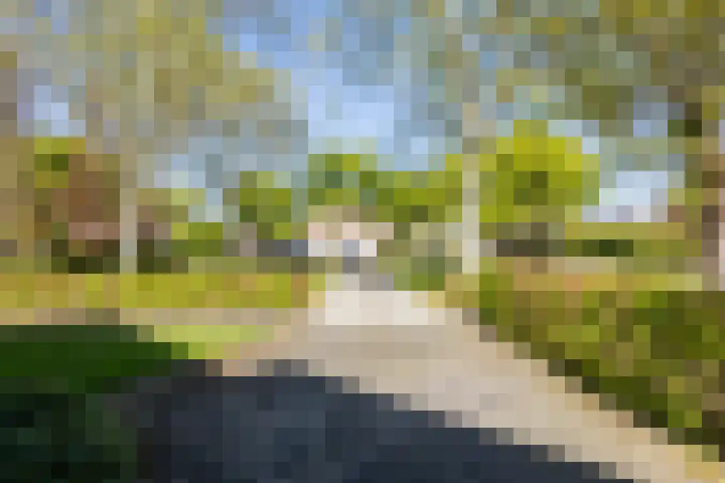 Magnolialaan 35 Nieuwleusen thumbnail 6