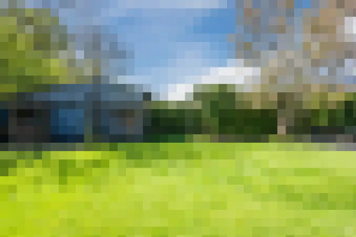 Magnolialaan 35 Nieuwleusen thumbnail 63