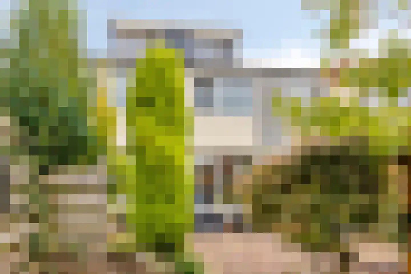 Magnolialaan 42 Doesburg thumbnail 28