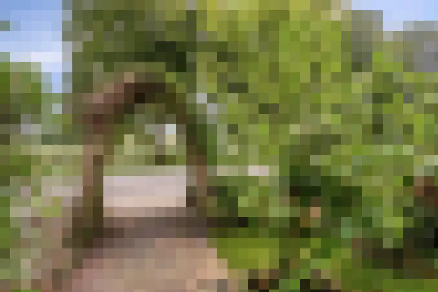 Magnolialaan 42 Doesburg thumbnail 31