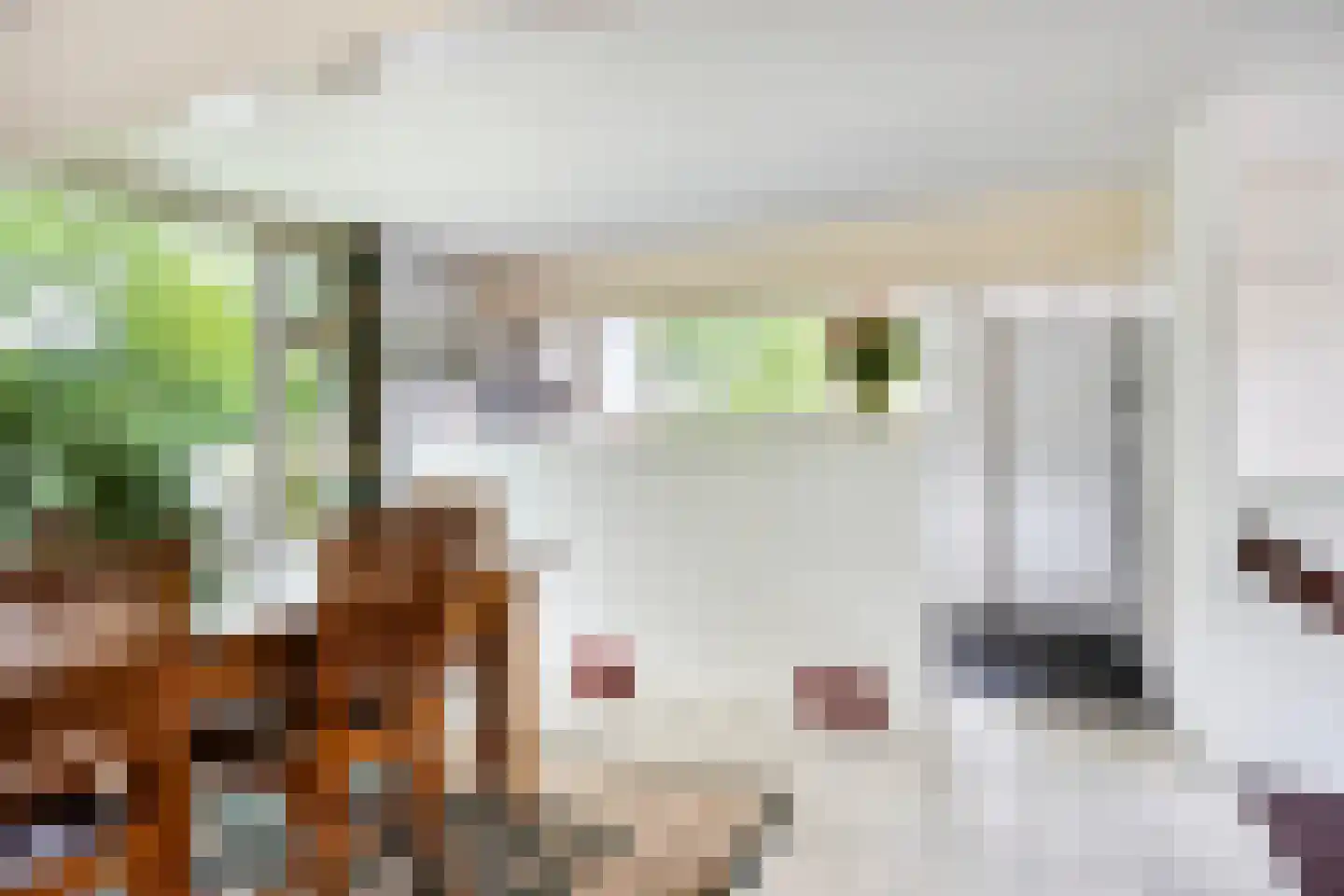 Magnolialaan 7 Oss thumbnail 12