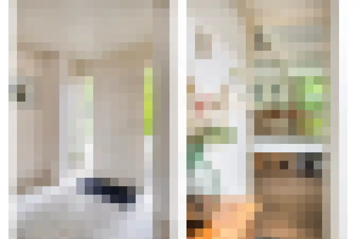 Magnolialaan 7 Oss thumbnail 15