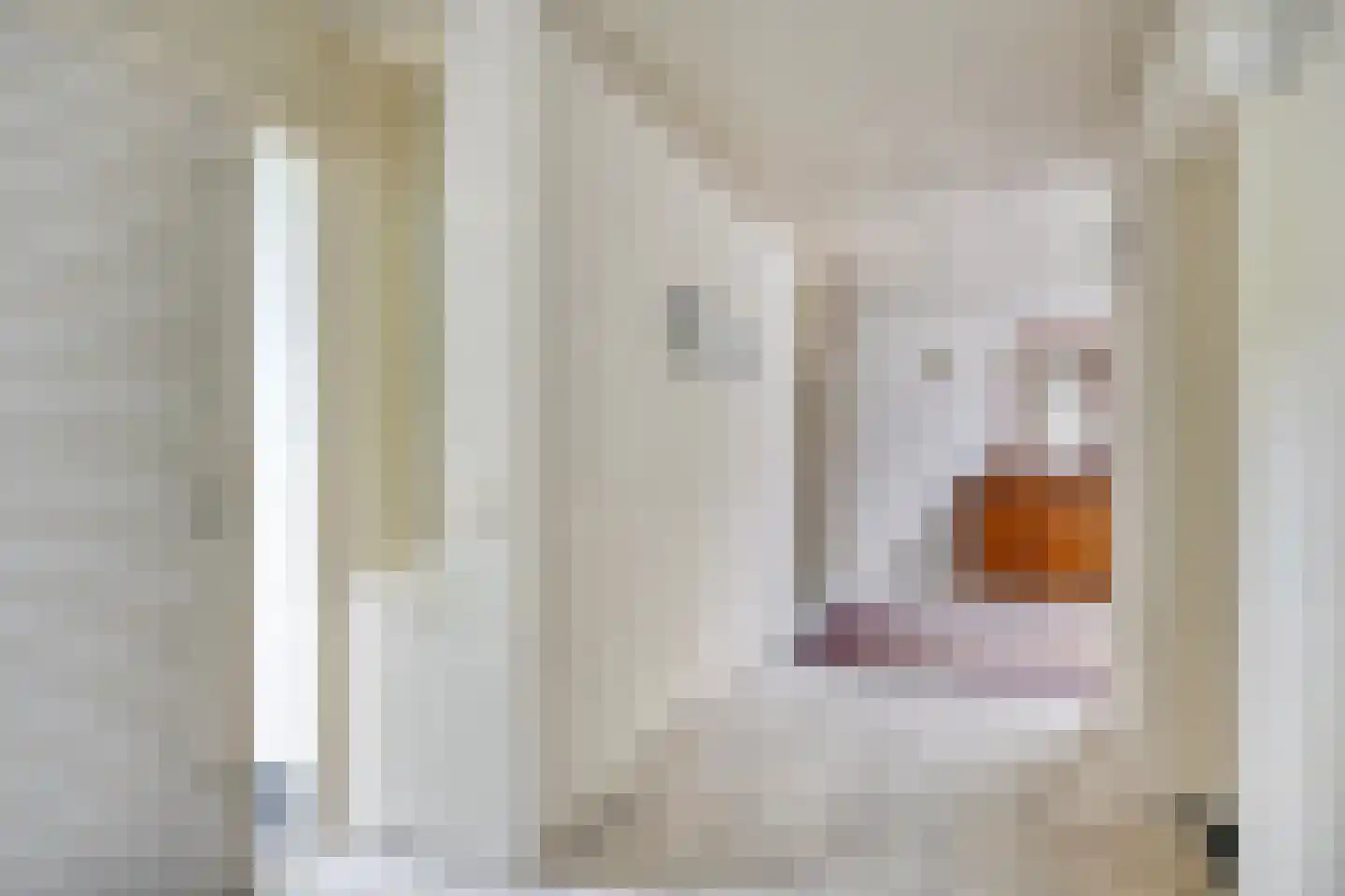 Magnolialaan 7 Oss thumbnail 16