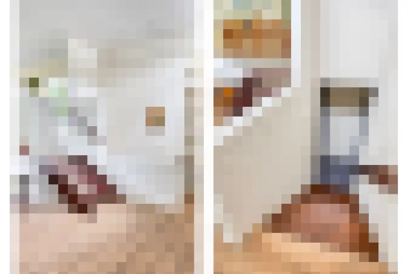 Magnolialaan 7 Oss thumbnail 22