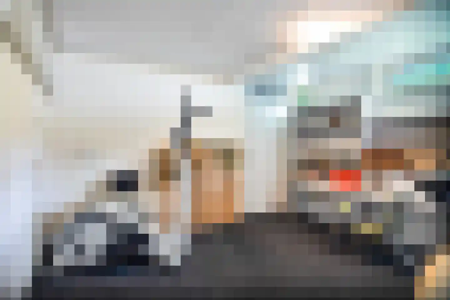 Magnolialaan 7 Oss thumbnail 24