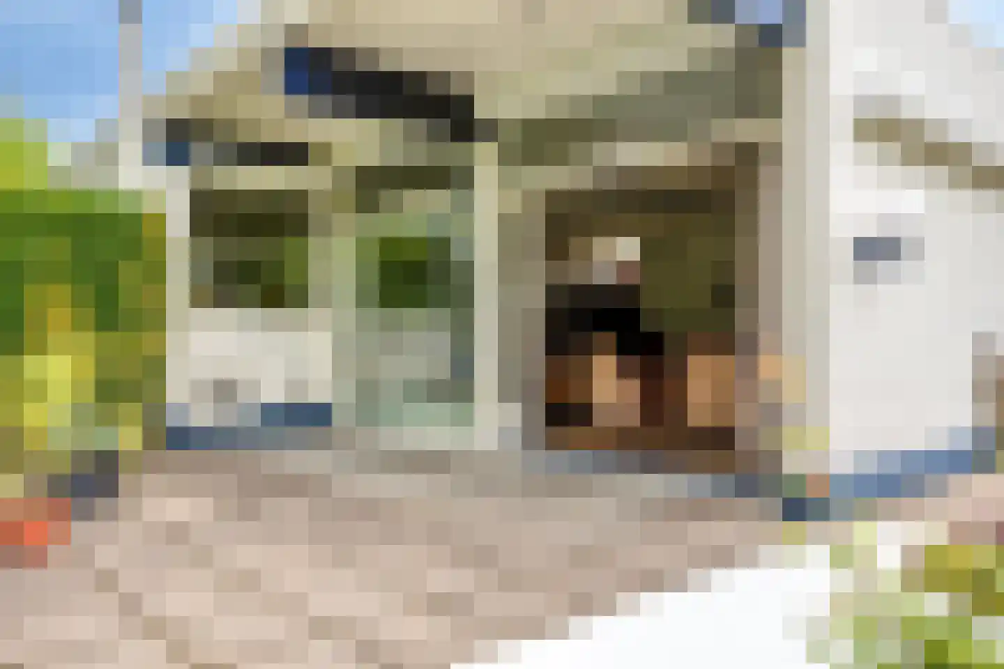 Magnolialaan 7 Oss thumbnail 29