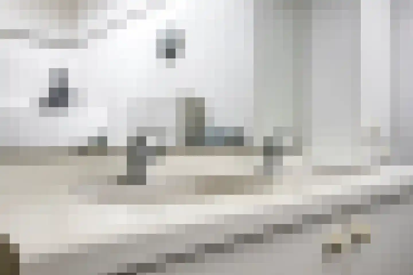 Magnolialaan 7 Oss thumbnail 32