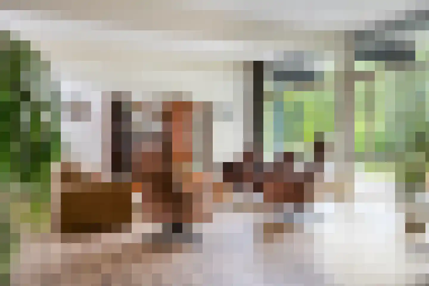Magnolialaan 7 Oss thumbnail 4