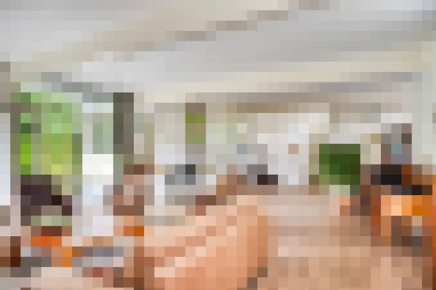 Magnolialaan 7 Oss thumbnail 5