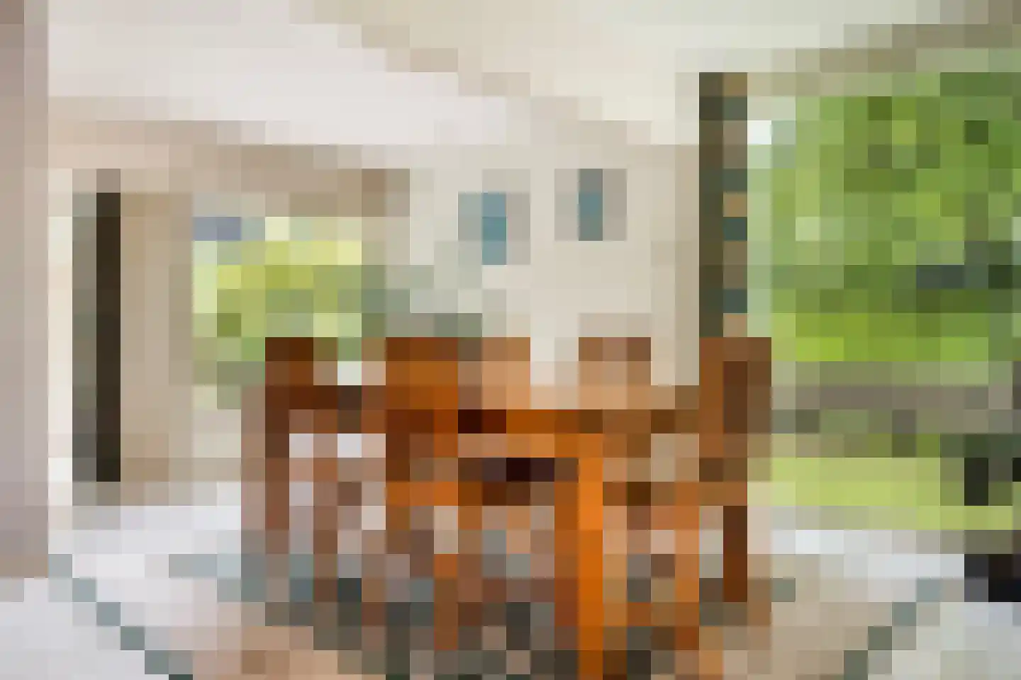 Magnolialaan 7 Oss thumbnail 7