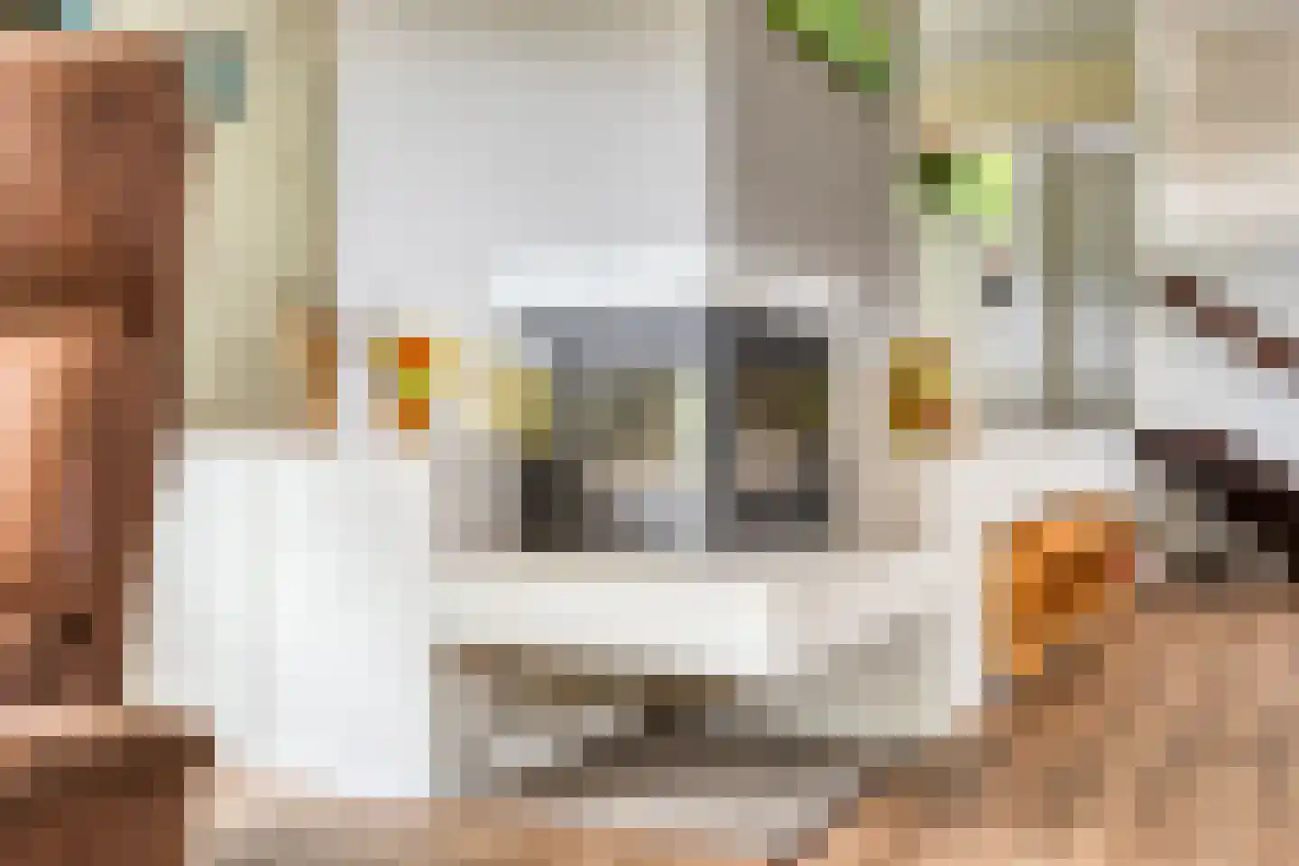 Magnolialaan 7 Oss thumbnail 7