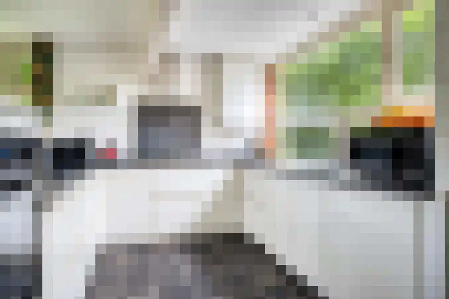 Magnolialaan 7 Oss thumbnail 8