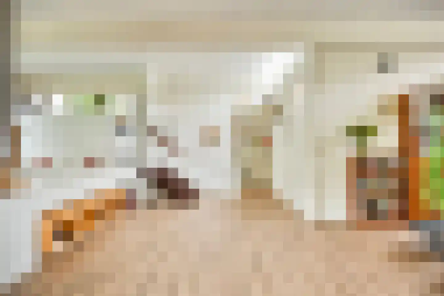 Magnolialaan 7 Oss thumbnail 8