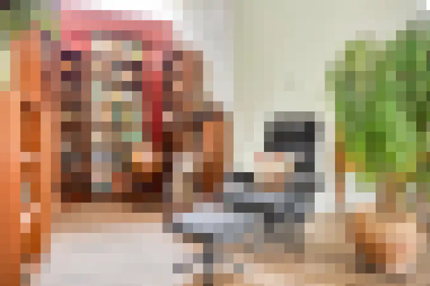 Magnolialaan 7 Oss thumbnail 9
