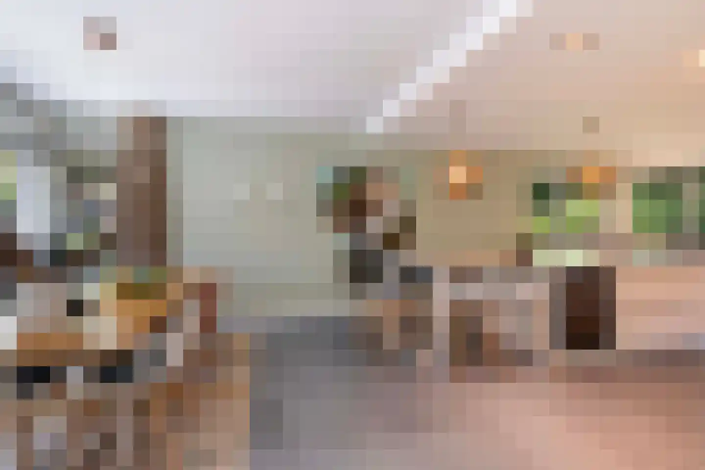Magnolialaan 8 Apeldoorn thumbnail 11