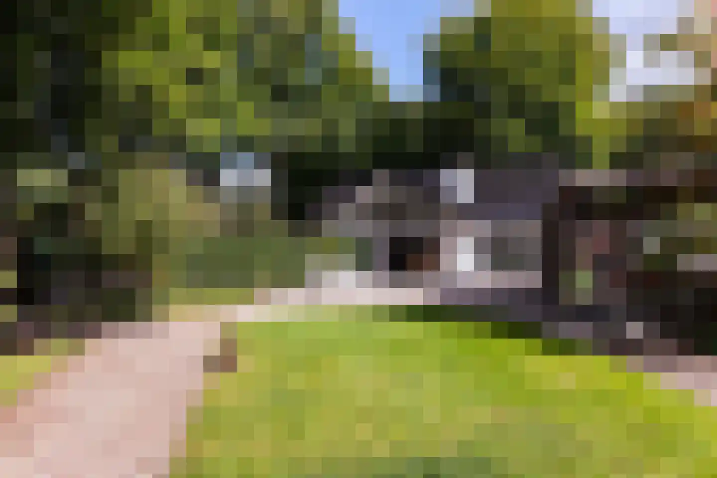 Magnolialaan 8 Apeldoorn thumbnail 42