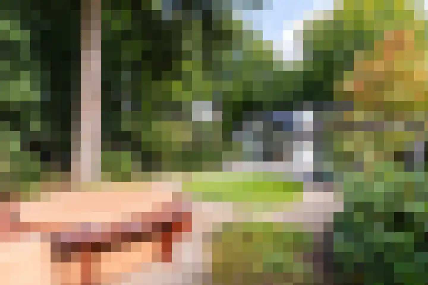 Magnolialaan 8 Apeldoorn thumbnail 43