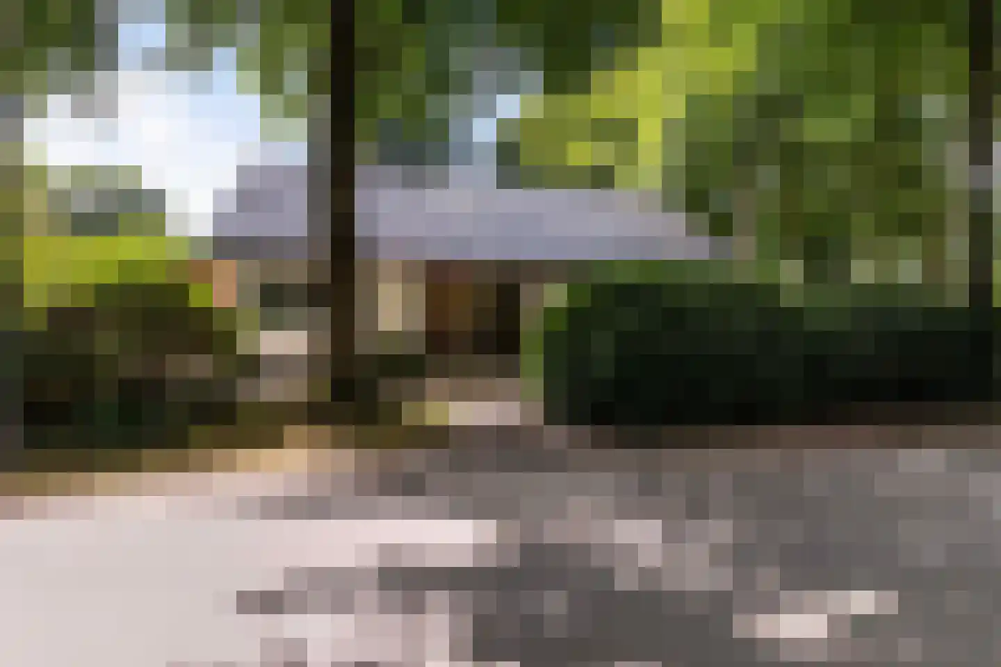 Magnolialaan 8 Apeldoorn thumbnail 45