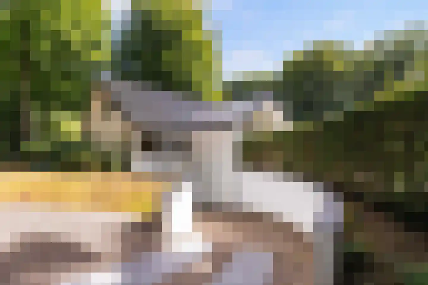 Magnolialaan 8 Apeldoorn thumbnail 46