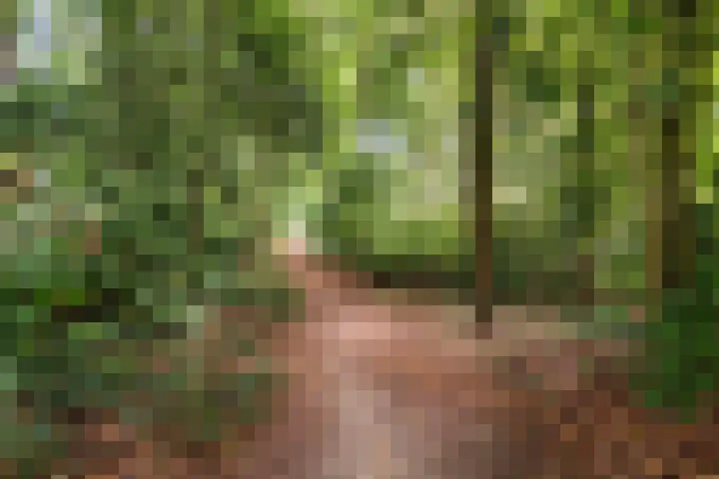 Magnolialaan 8 Apeldoorn thumbnail 48