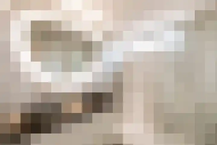 Magnolialaan 8 Oss thumbnail 22