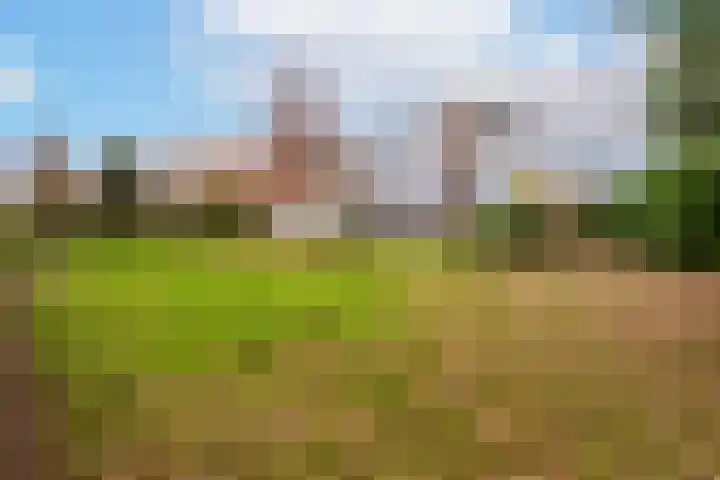 Magnolialaan 8 Oss thumbnail 31