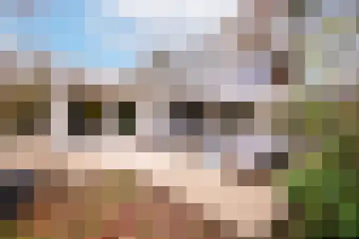 Magnolialaan 8 Oss thumbnail 32