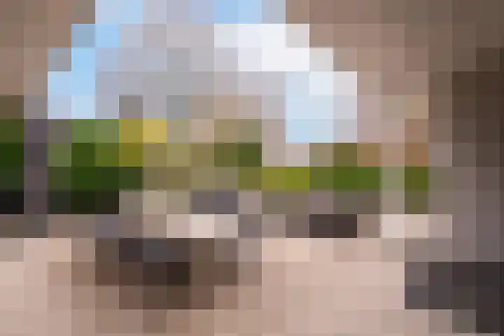 Magnolialaan 8 Oss thumbnail 33