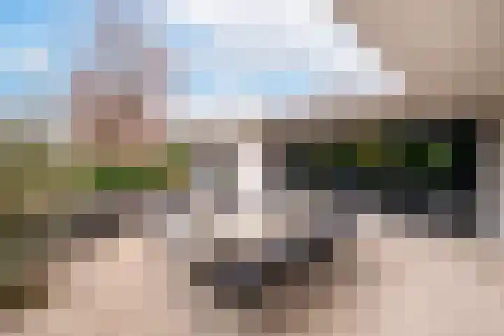 Magnolialaan 8 Oss thumbnail 34