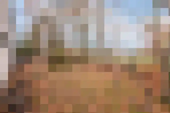Magnolialaan 8 Oss thumbnail 35